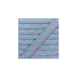 Biais Polycoton Quadri 20 mm - Vert