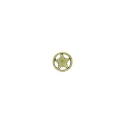 Bouton Métal Étoile Cerclée - Or Antique