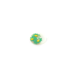 Bouton nacre Paquerette vert