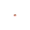 Bouton Polyester Arctia rose