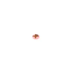 Bouton Polyester Arctia rose