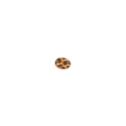 Bouton Polyester Imprimé animal orange