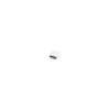 Bouton polyester petite moustache