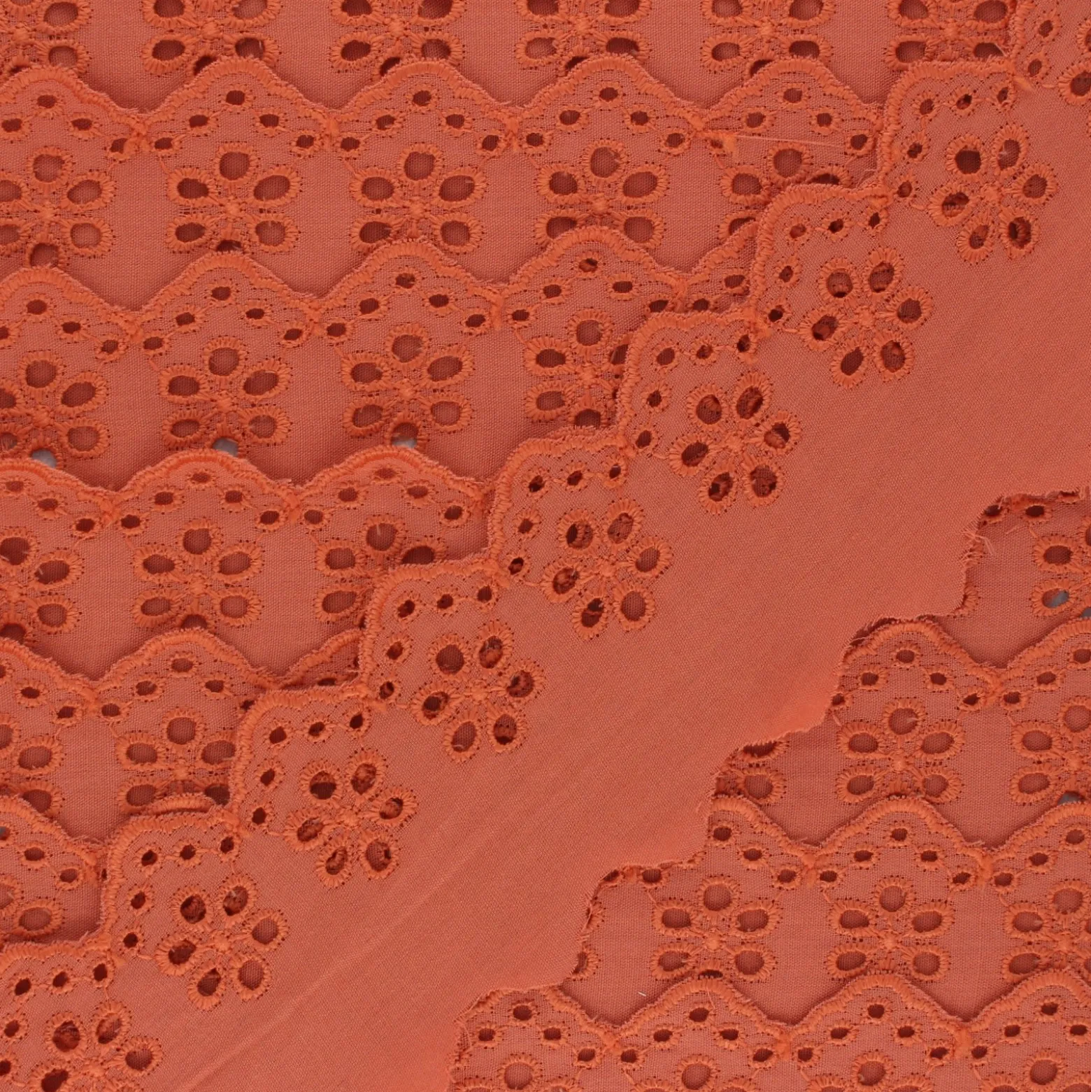 Broderie Anglaise Barbara 55 mm - orange