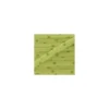 Cordon Star jardin d'olivier B