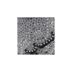♥ Coupon 110 cm ♥ Ruban dentelle lurex strass gris / noir