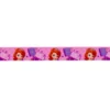 ♥ Coupon 160 cm ♥ Ruban satin Disney Princesse Sofia 15 mm