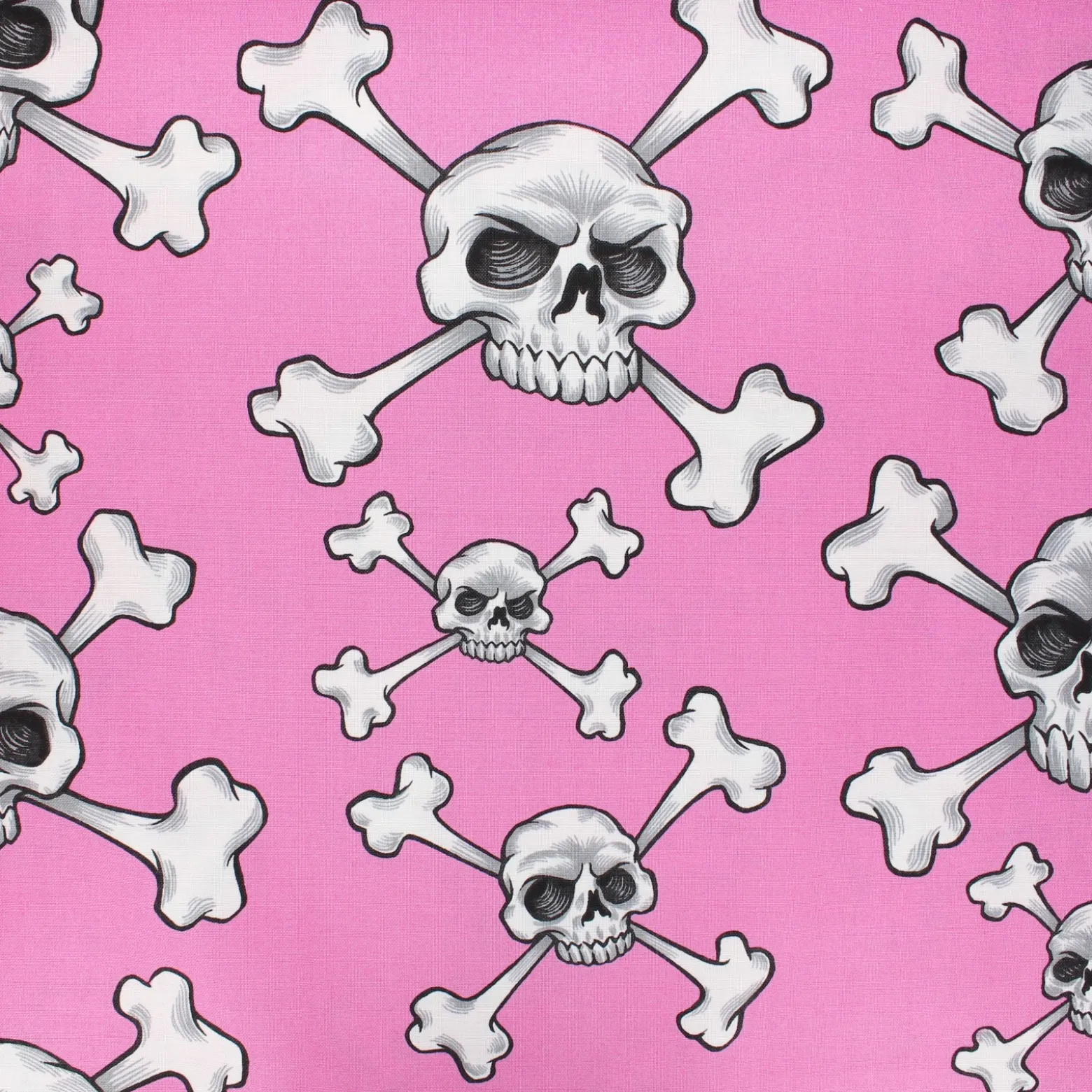 Coupon 100 cm x 110 cm Tissu coton Alexander Henry Skull and bones - rose