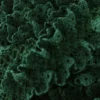 Dentelle froufrou sur ruban satin - vert foncé