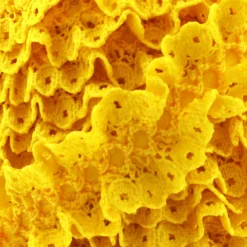 Dentelle froufrou sur ruban satin - jaune