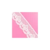 Dentelle Rachel C (3coloris)