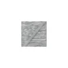 Elastique plat lurex argent