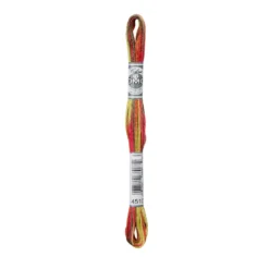 Fil mouliné à broder DMC Coloris - 8m - 4510