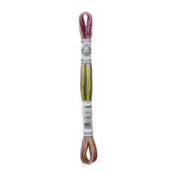Fil mouliné à broder DMC Coloris - 8m - 4509