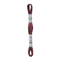 Fil mouliné à broder DMC Coloris - 8m - 4504