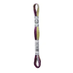 Fil mouliné à broder DMC Coloris - 8m - 4503