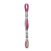 Fil mouliné à broder DMC Coloris - 8m - 4502