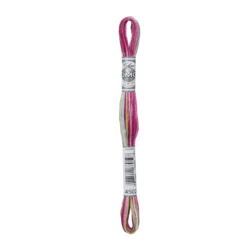 Fil mouliné à broder DMC Coloris - 8m - 4502