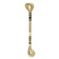 Fil mouliné à broder DMC Effet Lumière - 8m - E677