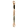 Fil mouliné à broder DMC - 8m - 945 - fond de teint