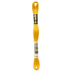 Fil mouliné à broder DMC - 8m - 972 - jaune curry