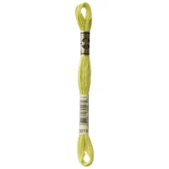Fil mouliné à broder DMC - 8m - 3819 - vert anis