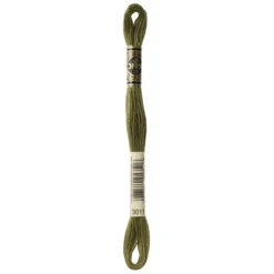 Fil mouliné à broder DMC - 8m - 3011 - vert artichaut