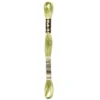 Fil mouliné à broder DMC - 8m - 3348 - vert coeur de laitue