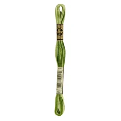 Fil mouliné à broder DMC - 8m - 92 - vert feuillage ombré