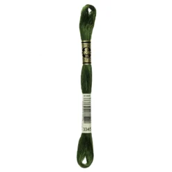 Fil mouliné à broder DMC - 8m - 3345 - vert menthe
