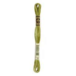Fil mouliné à broder DMC - 8m - 94 - vert mousse ombré