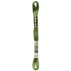 Fil mouliné à broder DMC - 8m - 3347 - vert scarabée