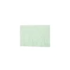 Galon Franges suédine 12cm - menthe clair x 50cm