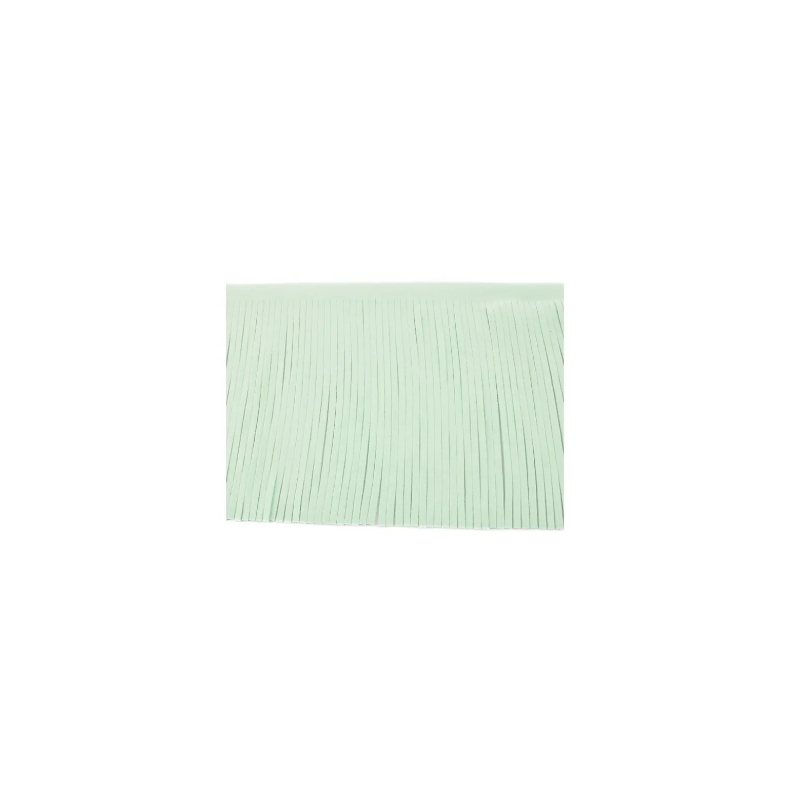 Galon Franges suédine 12cm - menthe clair x 50cm