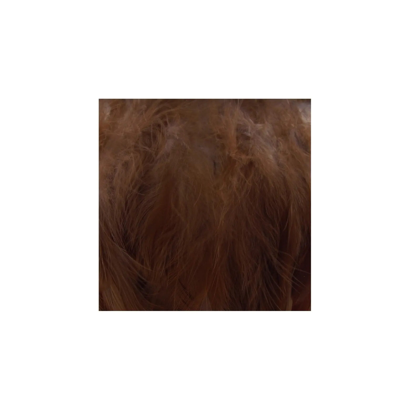Galon Plume effet nacré 10cm - marron foncé x 50cm