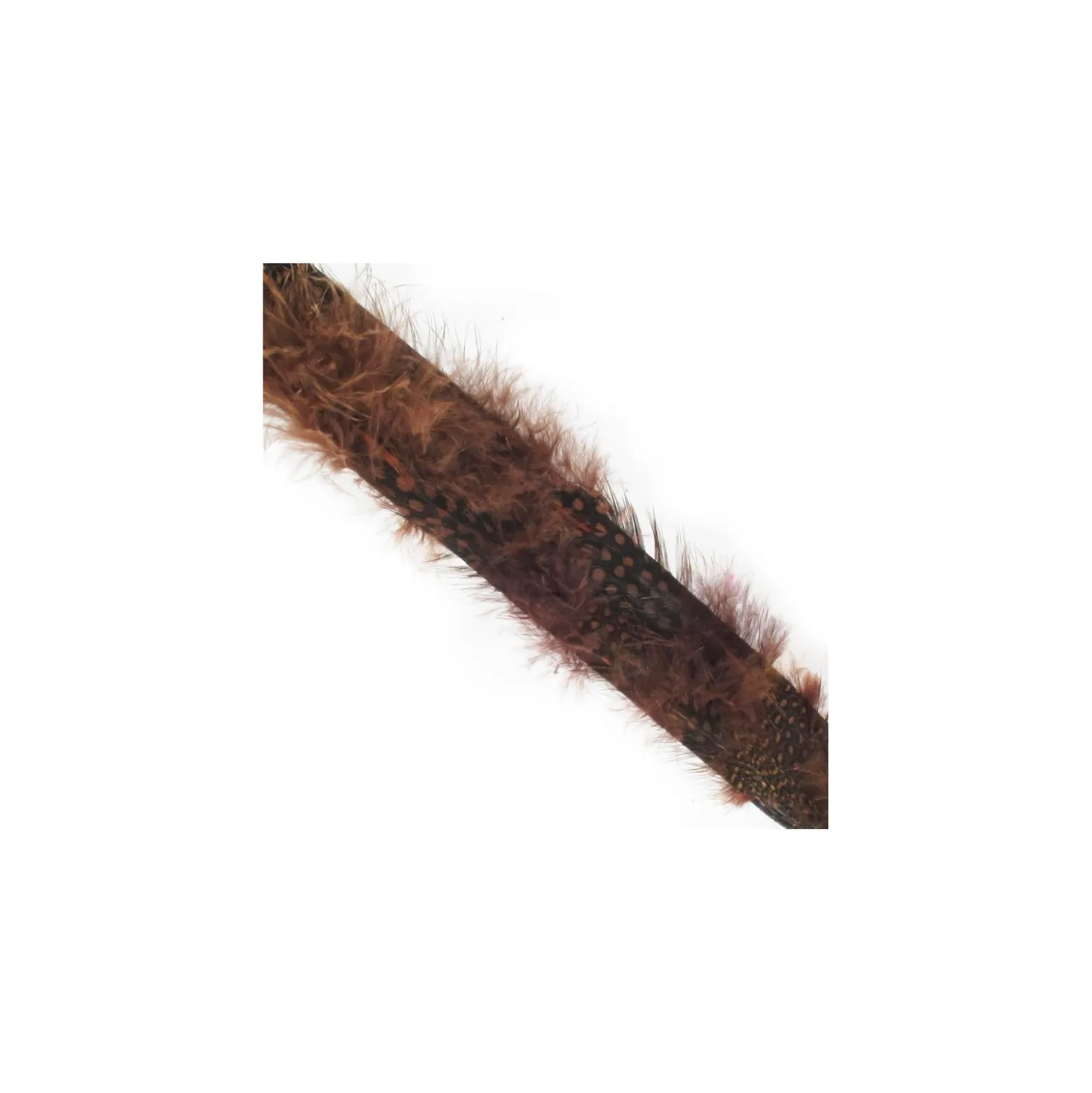 Galon plume feutrine chocolat x 20 cm