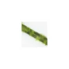 Galon plume feutrine vert x 20 cm