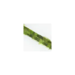 Galon plume feutrine vert x 20 cm