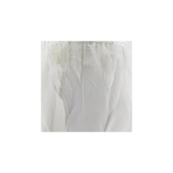 Galon Plumes Blanc 14cm x 20cm