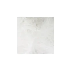 Galon Plumes cheveux d'ange blanc x 30cm