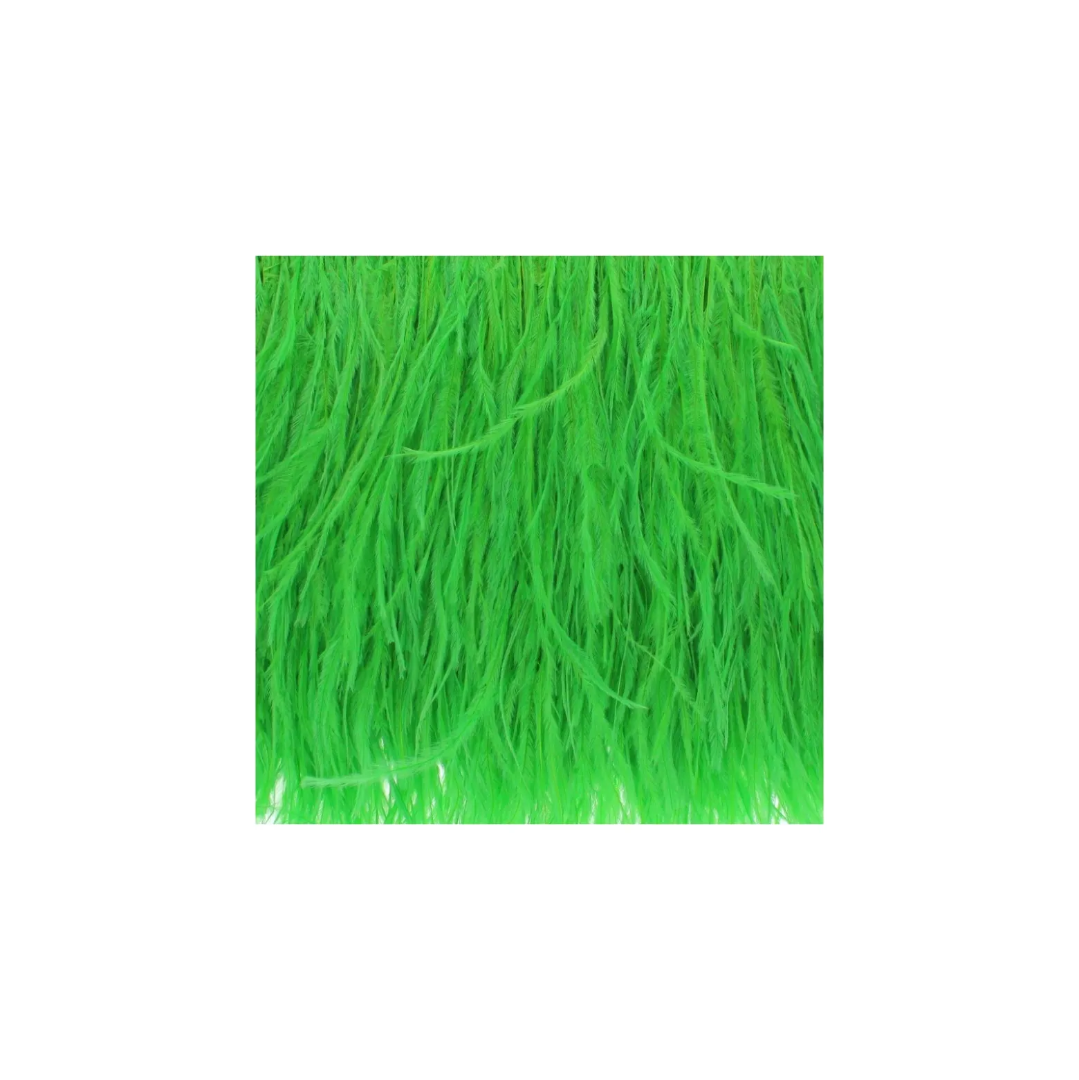 Galon Plumes d'Autruche Rio 14 cm - Vert Pomme x 50cm
