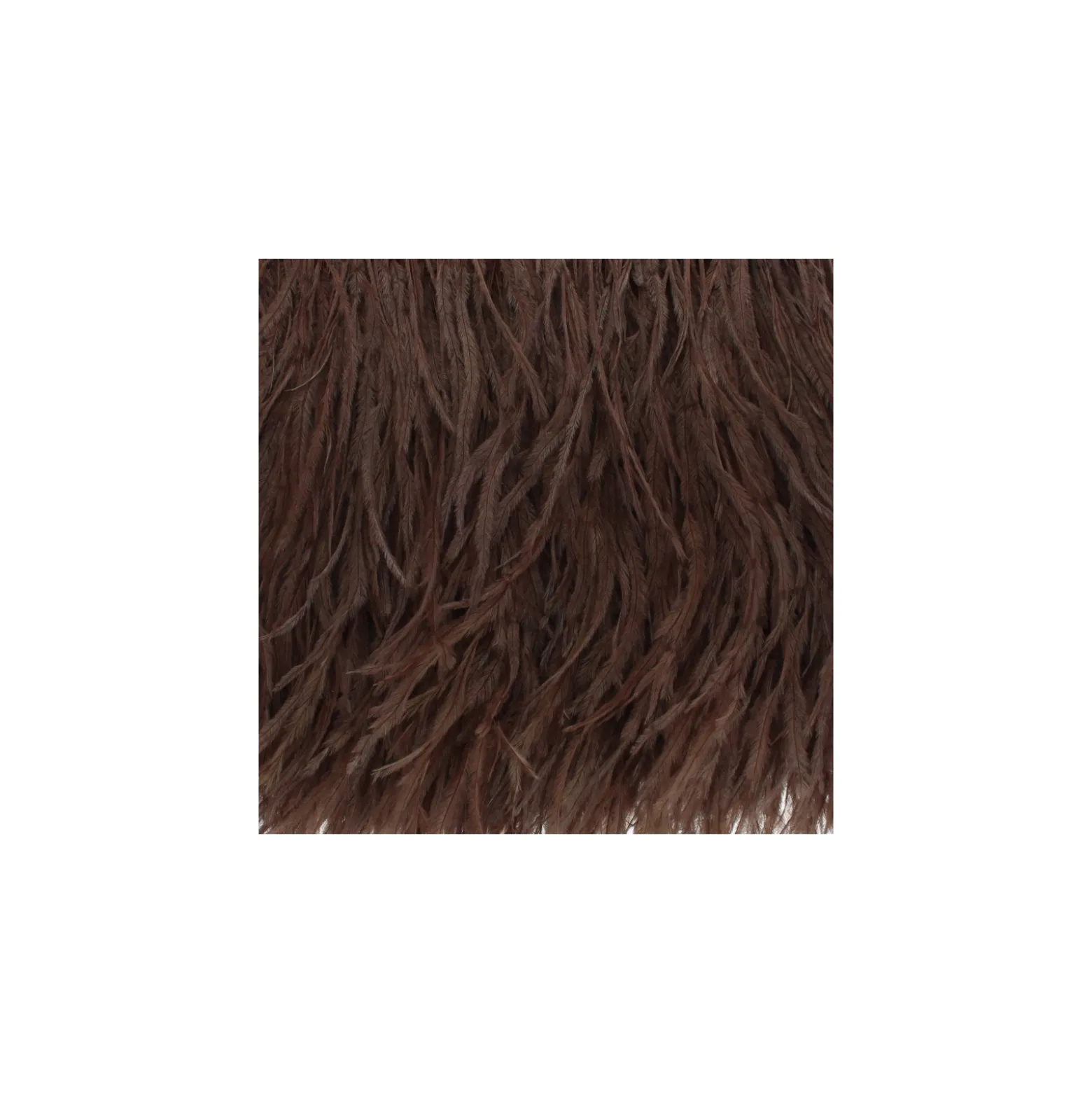 Galon Plumes d'Autruche Rio 14 cm - Marron x 50cm