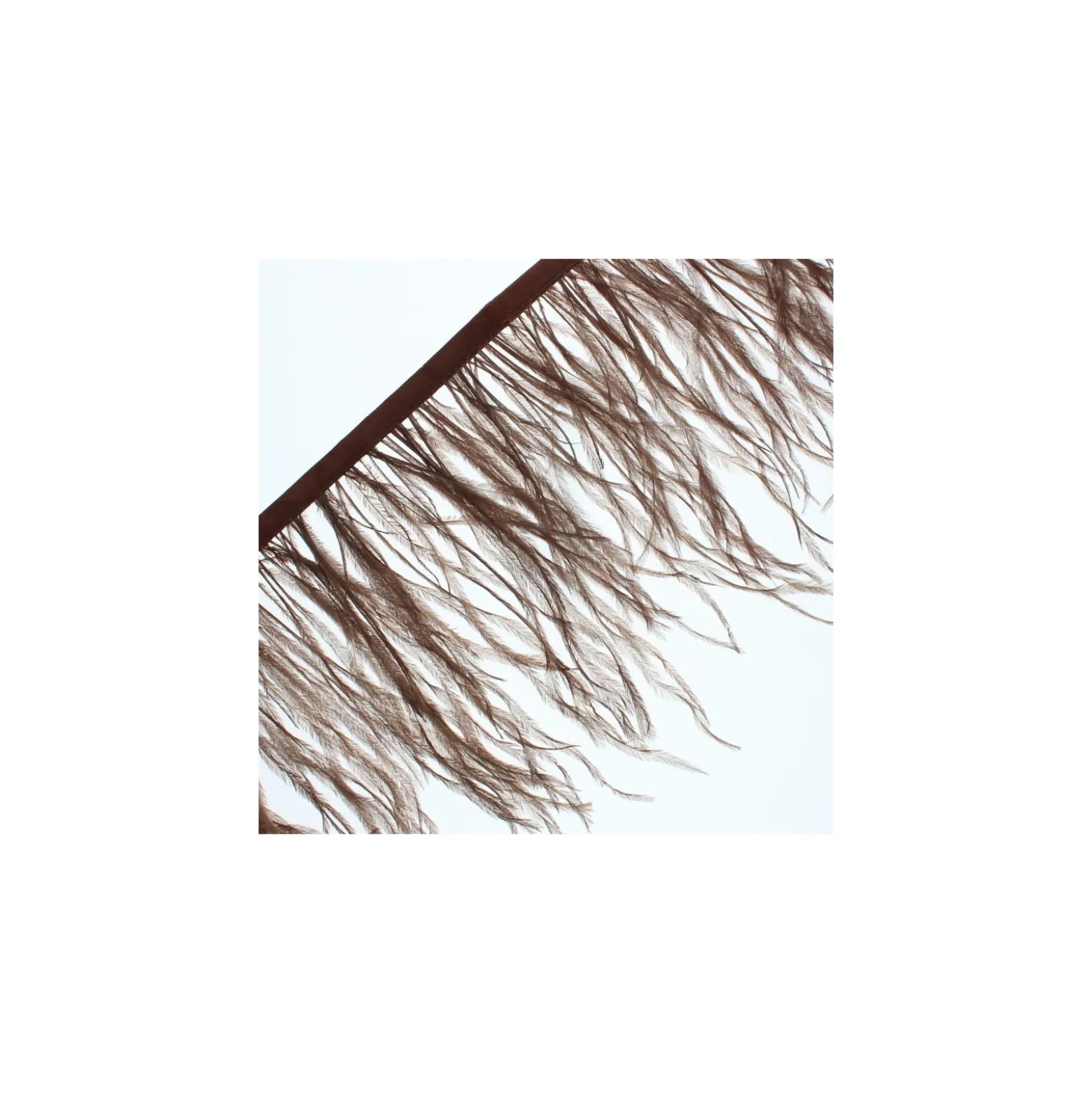 Galon Plumes d'Autruche Rio 14 cm - Marron x 50cm