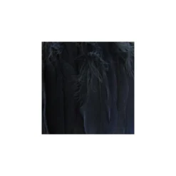 Galon Plumes Marine14cm x 20cm