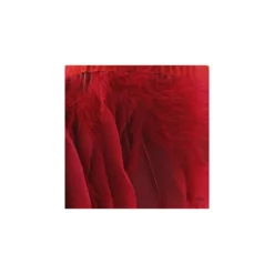 Galon Plumes Rouge14cm x 20cm