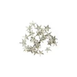 Griffes étoiles argent
