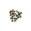 Griffes étoiles bronze antique
