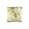 Guipure Fleurs et perles nacrées jaune clair x 50cm