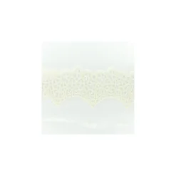 Ruban broderie sur tulle C - écru x 50cm