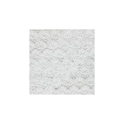 Ruban broderie sur tulle Marise - écru x 50cm